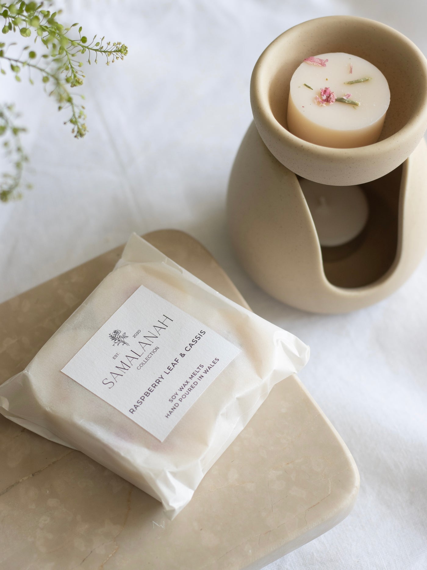 Raspberry Leaf & Cassis Soy Wax Melts