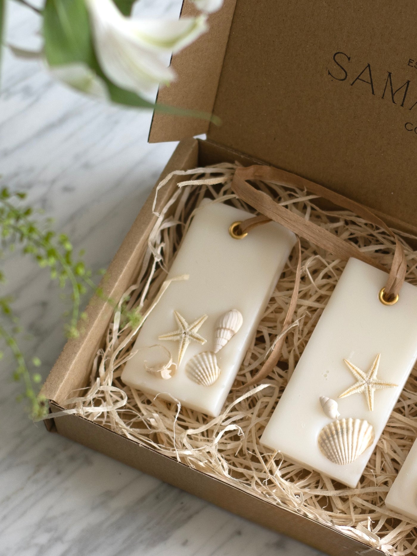 Sea Salt & Driftwood Room Freshener