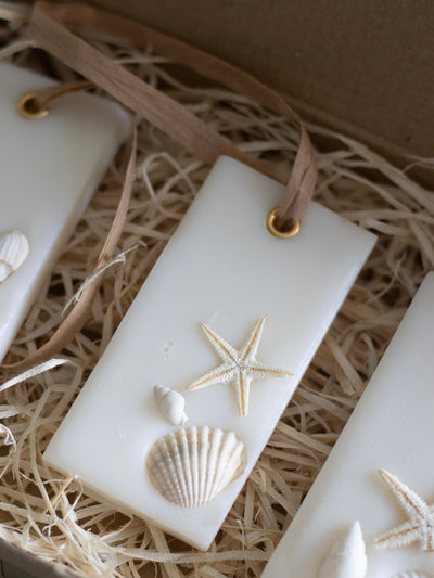 Sea Salt & Driftwood Room Freshener